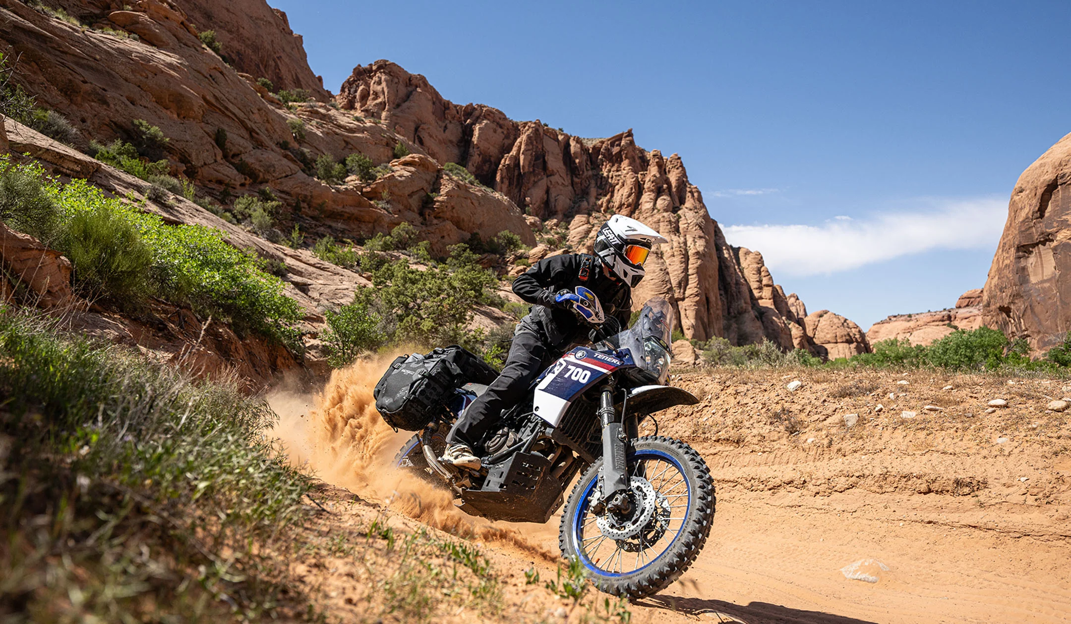 Built for the Wildest Rides
